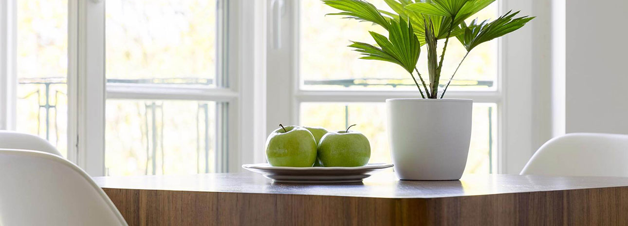 Homepage Fa. Colter GmbH Fenster-Türen-Glas: Startbild